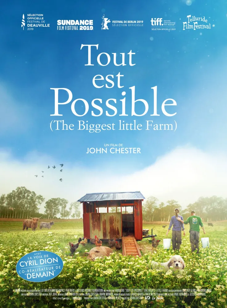 affiche Tout est possible