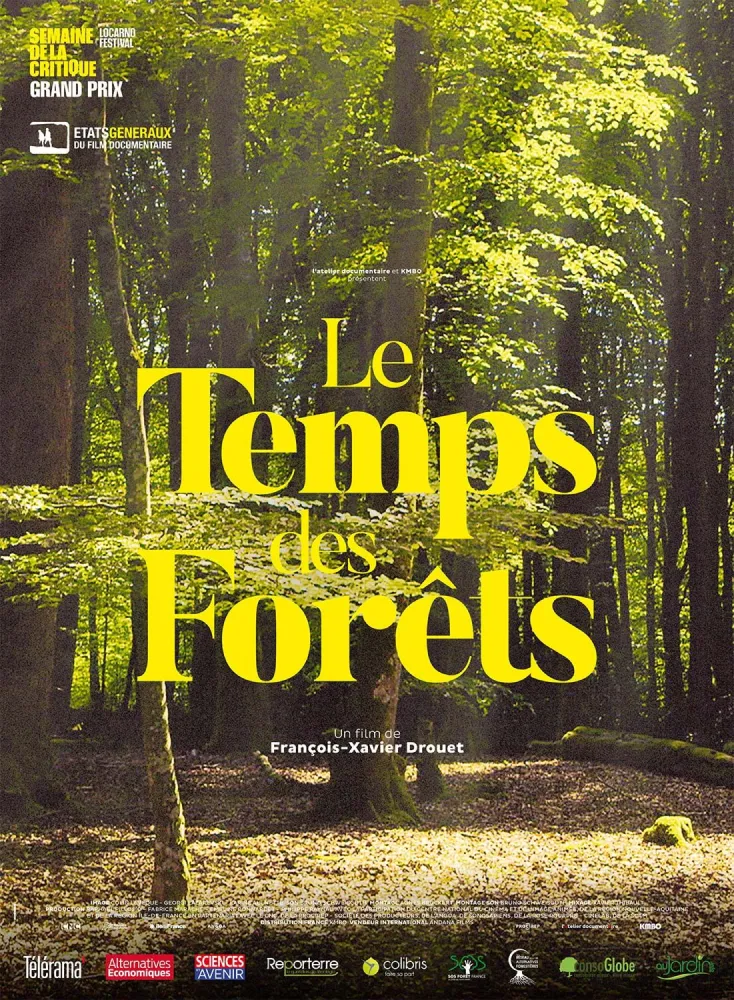 affiche Le Temps des Forêts